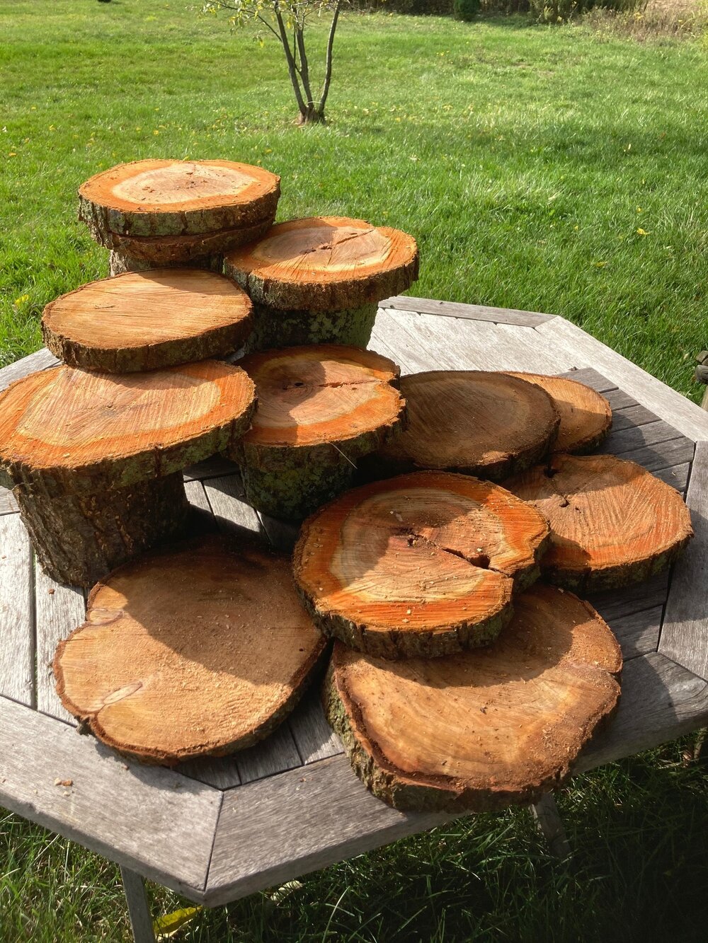 Rustic Wood Slices and Stumps for Display- Rental — Happiest Days Designs