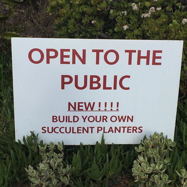 Special Announcements:
Our nursery is now open to the public on Saturdays from 8 a.m. to 4 p.m. Come on in and chat with Kathy and Ryan, get orchid care advice, transplanting help and tips and more.
And... We are now offering “Build Your Own” Succulent Planters. If you have a container you would like to have planted, bring it in and we can help you bring it to life. We have a nice selection of succulents from 2” to 2 gallon pot sizes. We only use pure OMRI approved coco COIR soilless potting medium.
Come visit us every Tuesday through Saturday, 8 am to 4 pm.