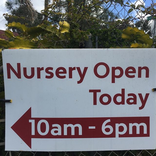 Spring/Summer weekday hours are now in effect! Come visit us at our nursery Tuesday through Friday 10 a.m. to 6 p.m. during the week and Saturday 8 a.m. to 4 p.m. on the weekends. We are located at 1200 Saxony Rd., Encinitas, Ca. We are about to have