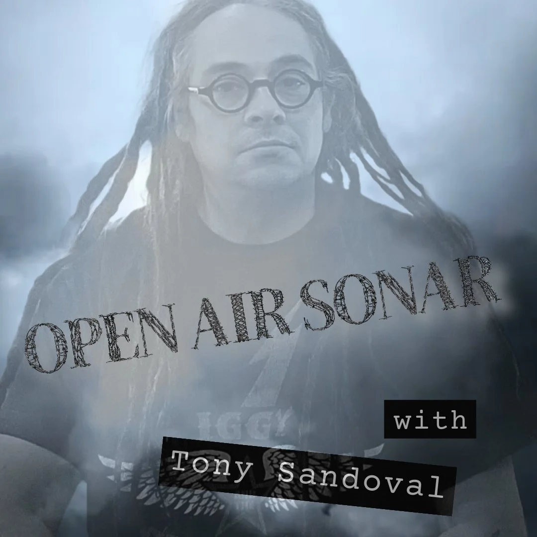 Endangered Songs OPEN AIR SONAR