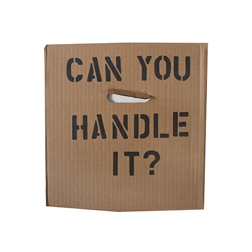 f_canyouhandleit.jpg
