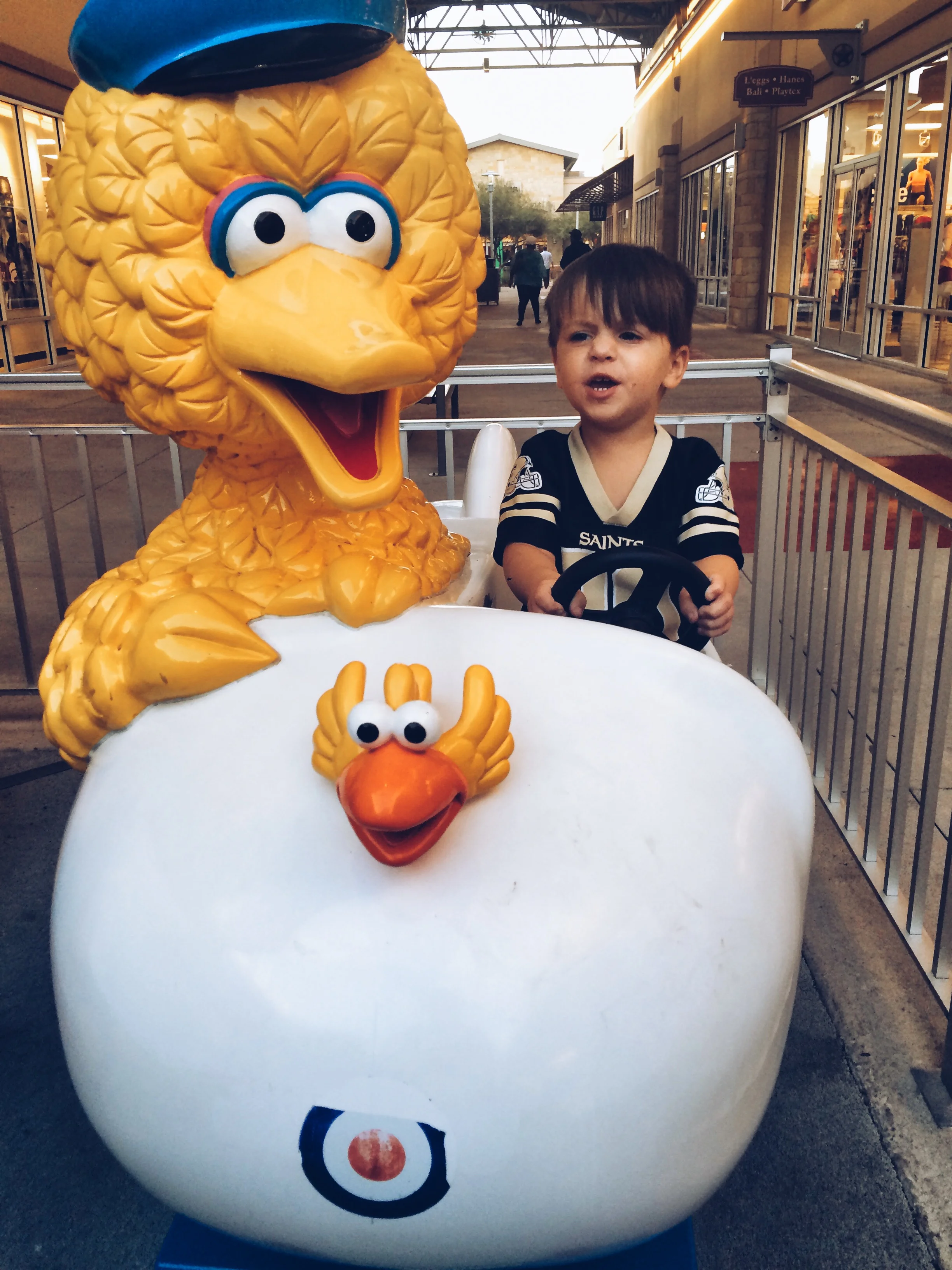 bigbird.jpg
