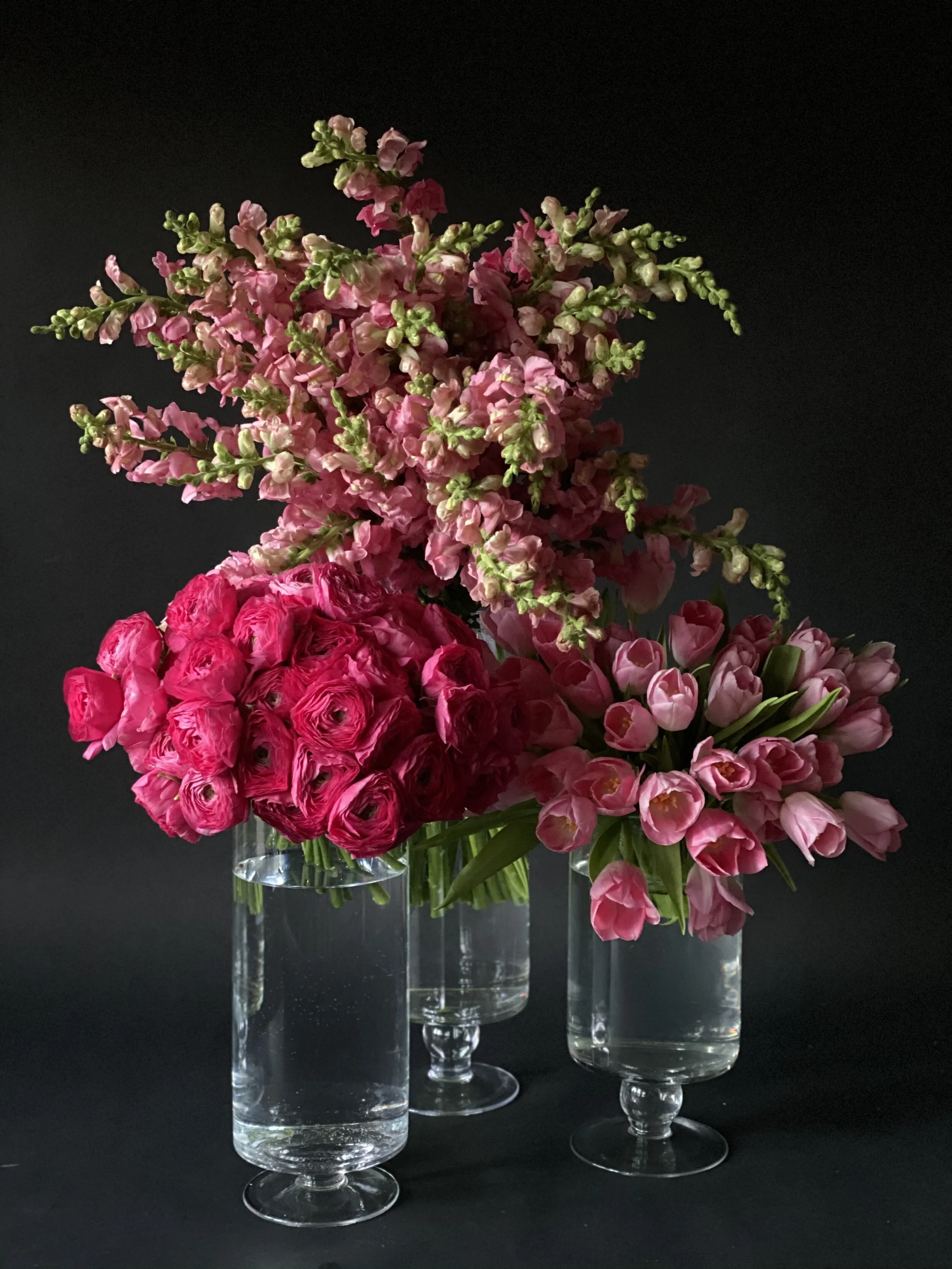 Weekly Designer's Choice