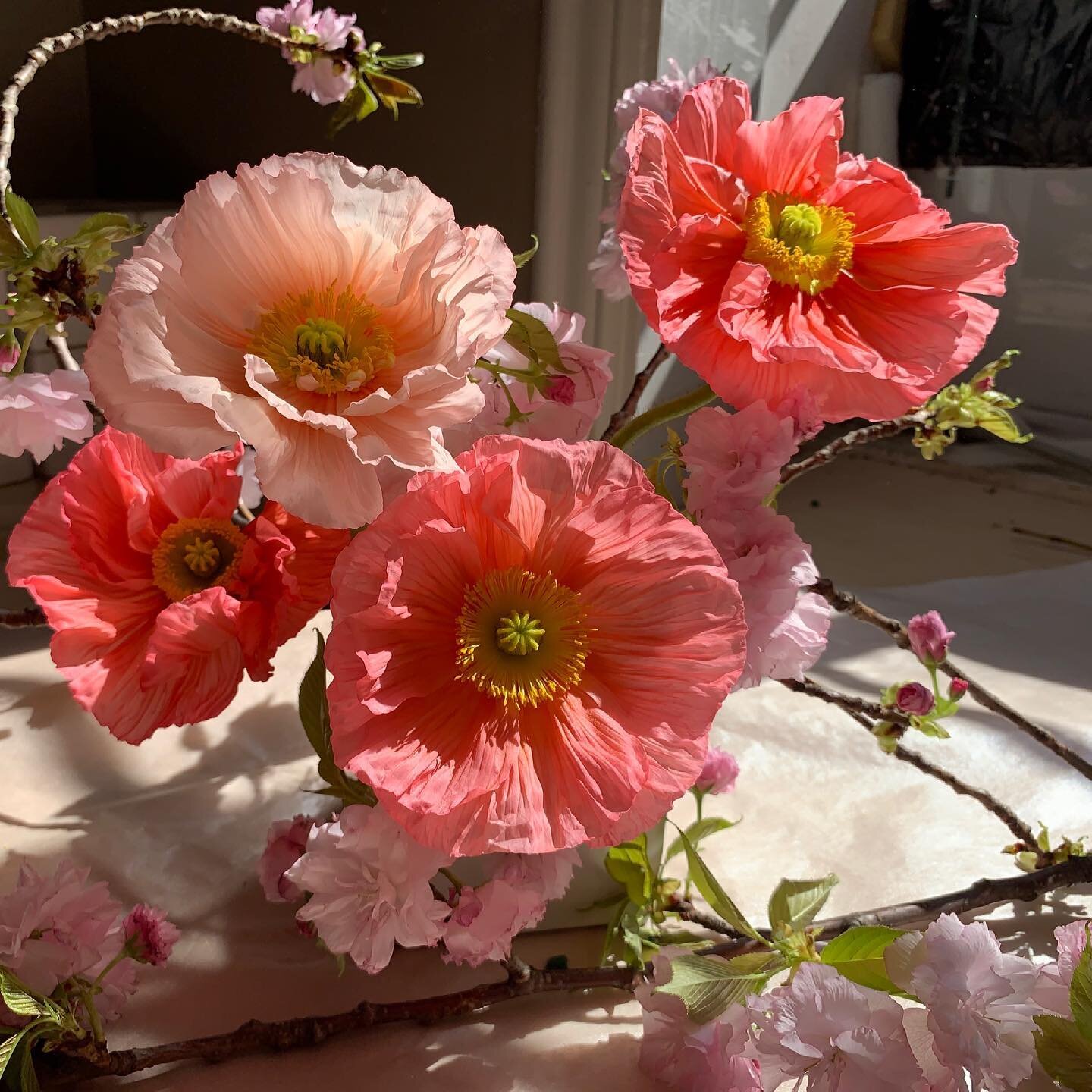 Hopeful promise of Spring is in the air 🙏

#springiscoming #springflowers #warmweather #sunshine #bespokeflowers #nycflowers #weddingseason #weddingflorals #elegant #naturelovers #poppy #cherryblossom #passover #easter #centerpieces #centralpark #up