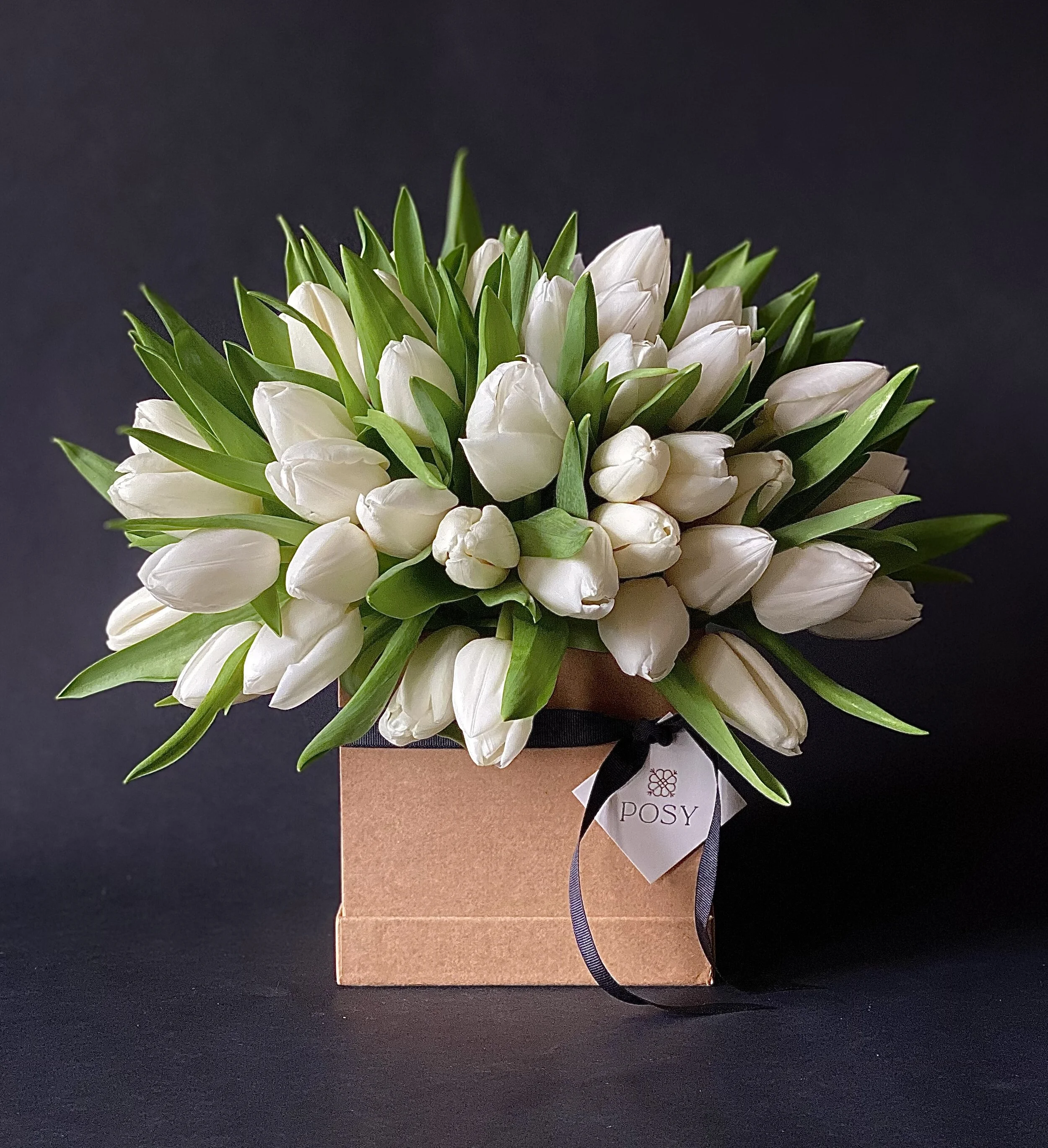White Tulips