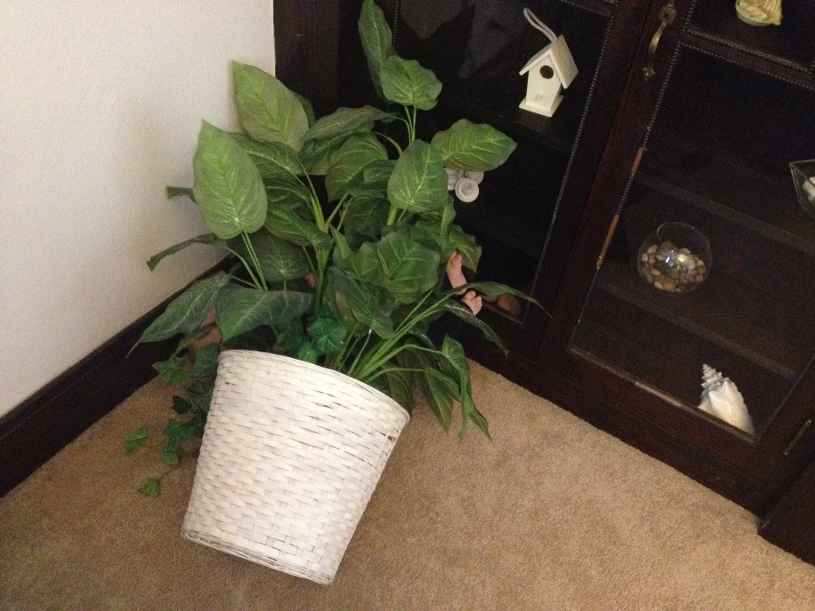 Can you find the Henry? 