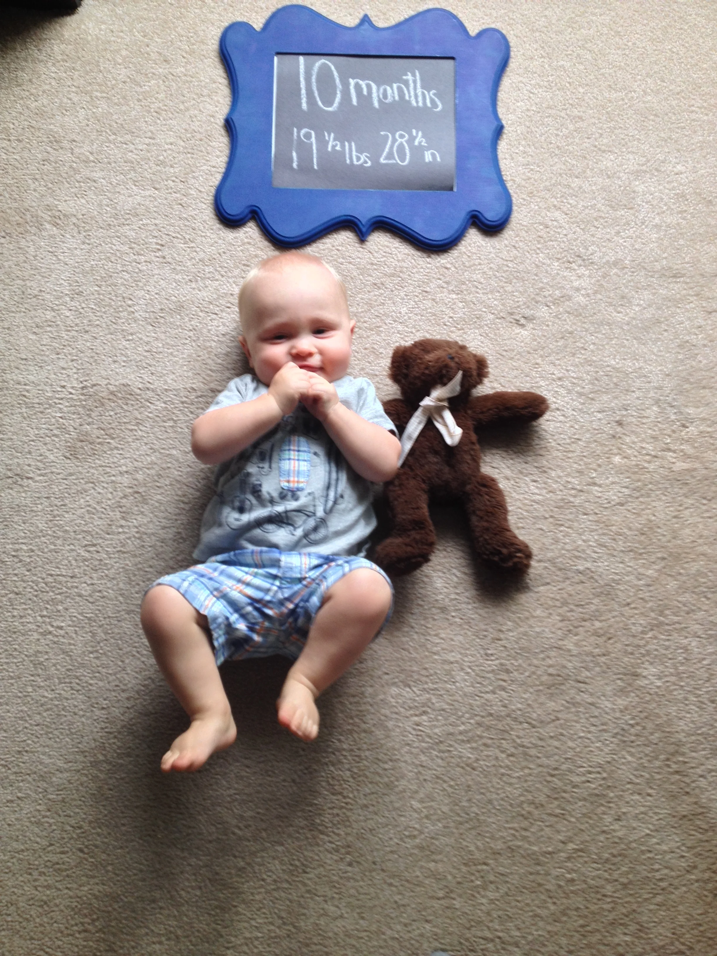 He would not put his legs down no matter what I tried! 