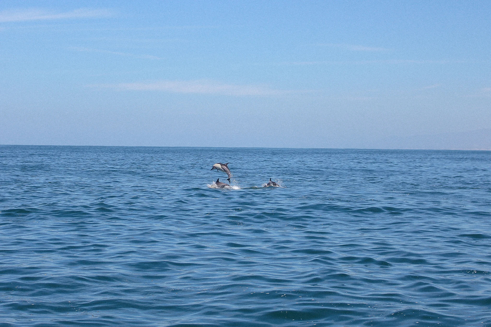 IMG_8147.jpg