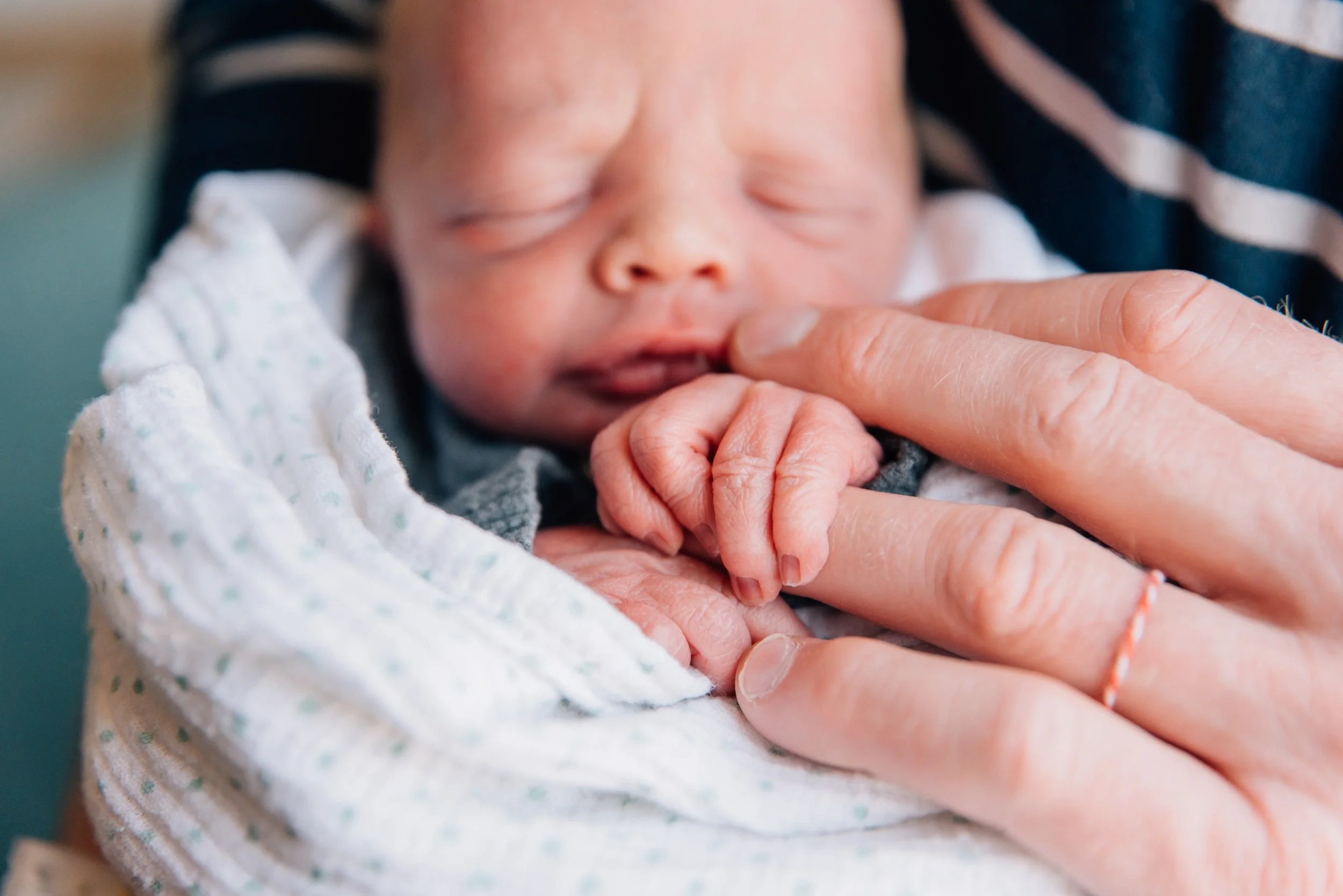 Jack’s Fresh 48 pictures