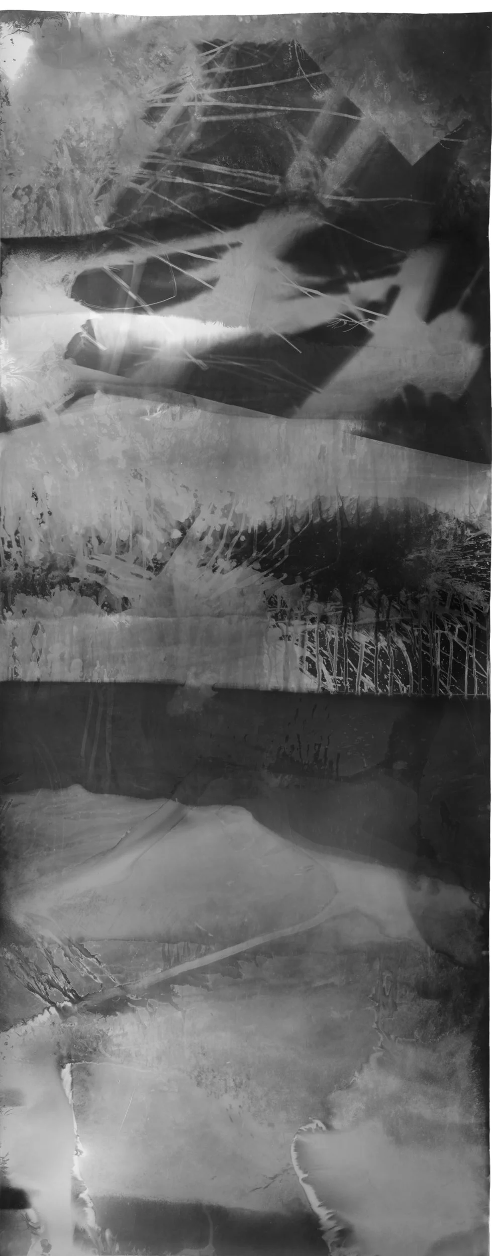 Untitled , 2017, 9.33 feet x 3.5 feet, Silver Gelatin Print