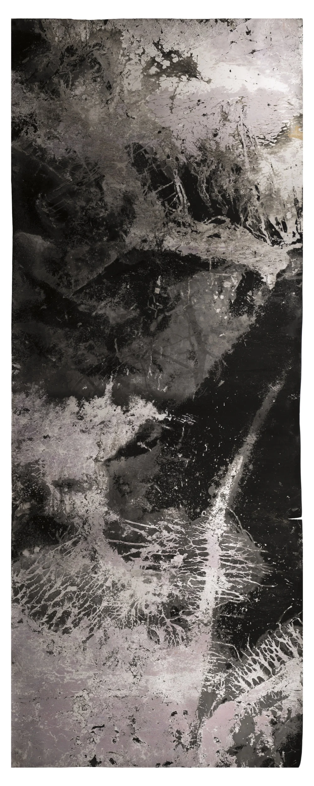 Ice Moon II , 2018, 9.33 feet x 3.5 feet, Silver Gelatin Print