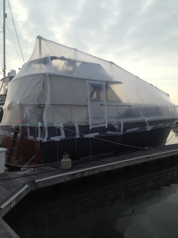 december 2014 011.JPG