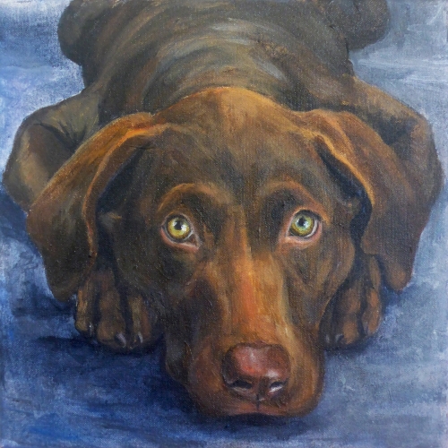 Portraits with One Pet