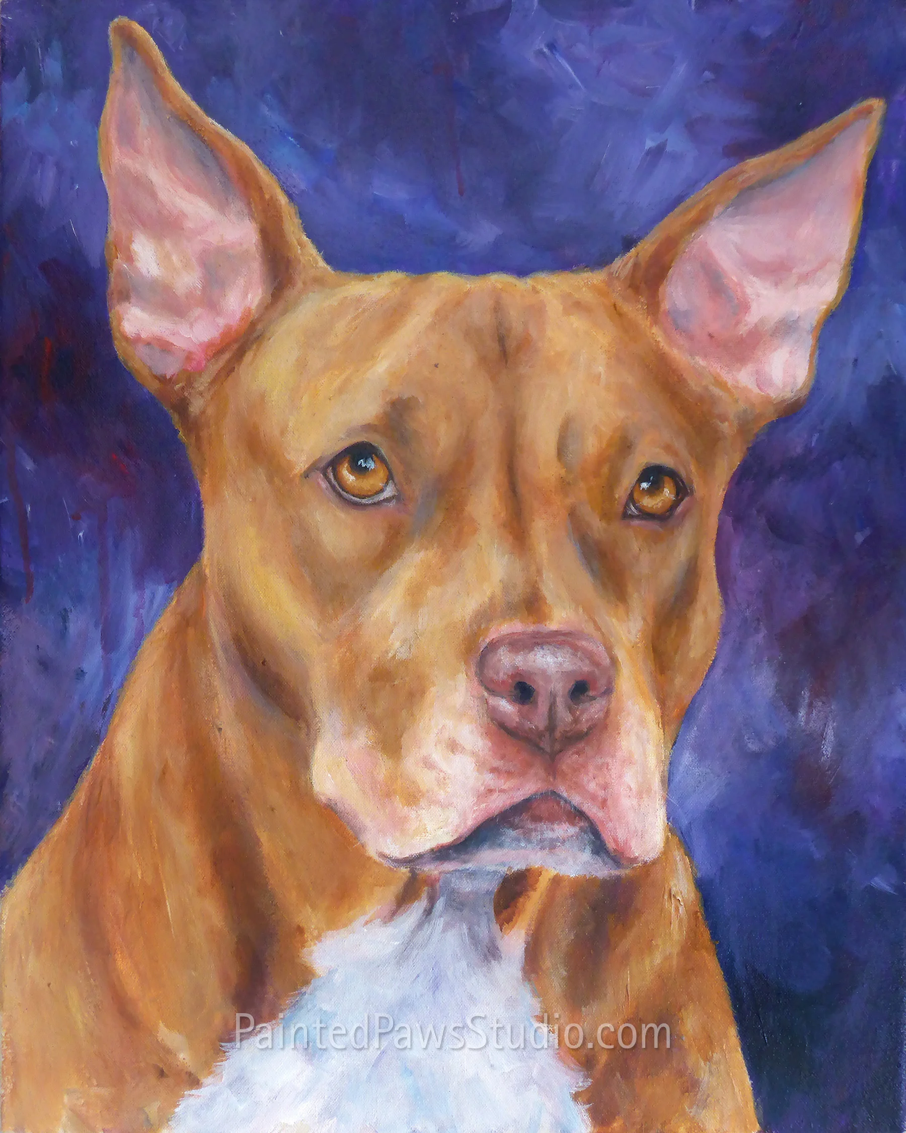 Angel | 16" x 20"