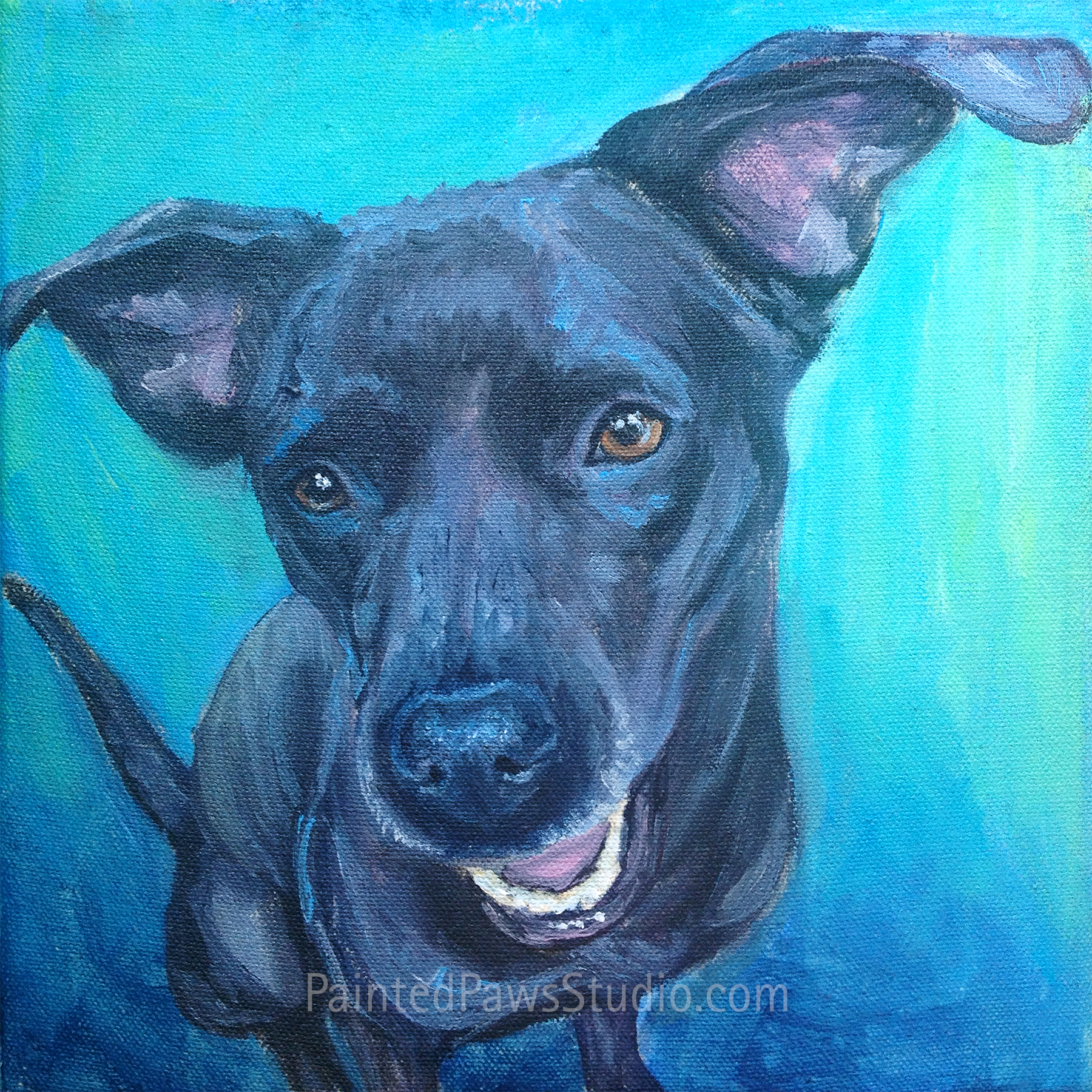 Chi Chi | 12" x 12"