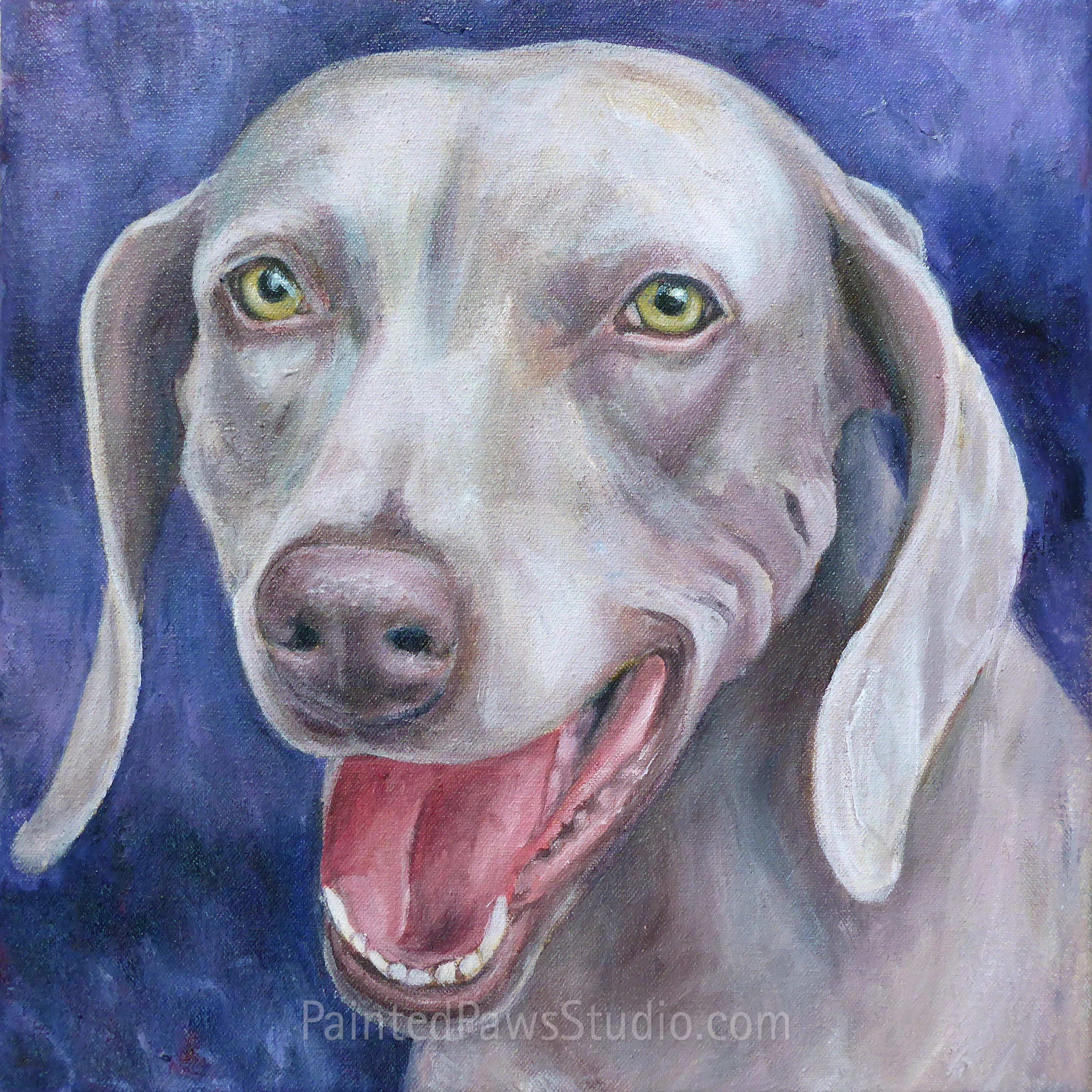 Sweet Abbie | 12" x 12"