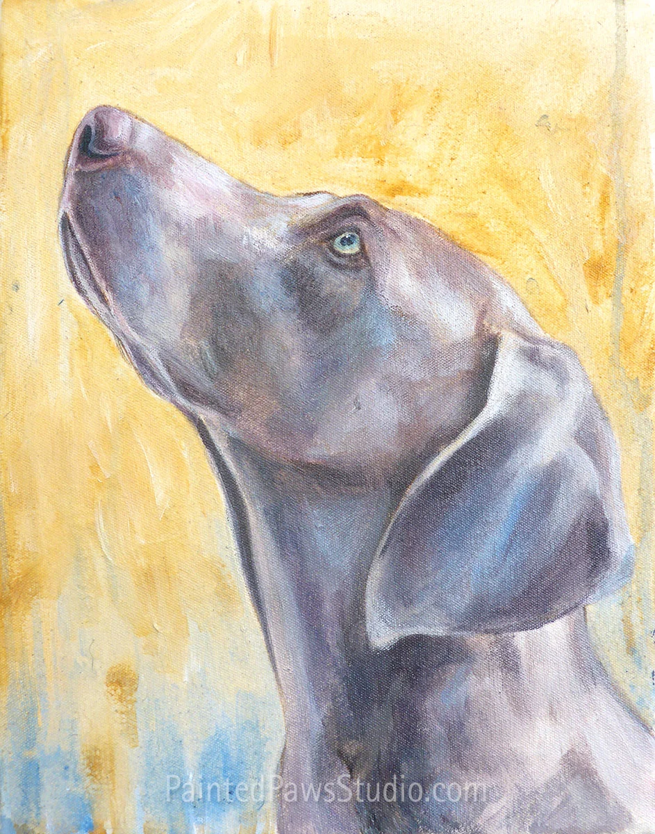 Ava  | 11" x 14" | standard background