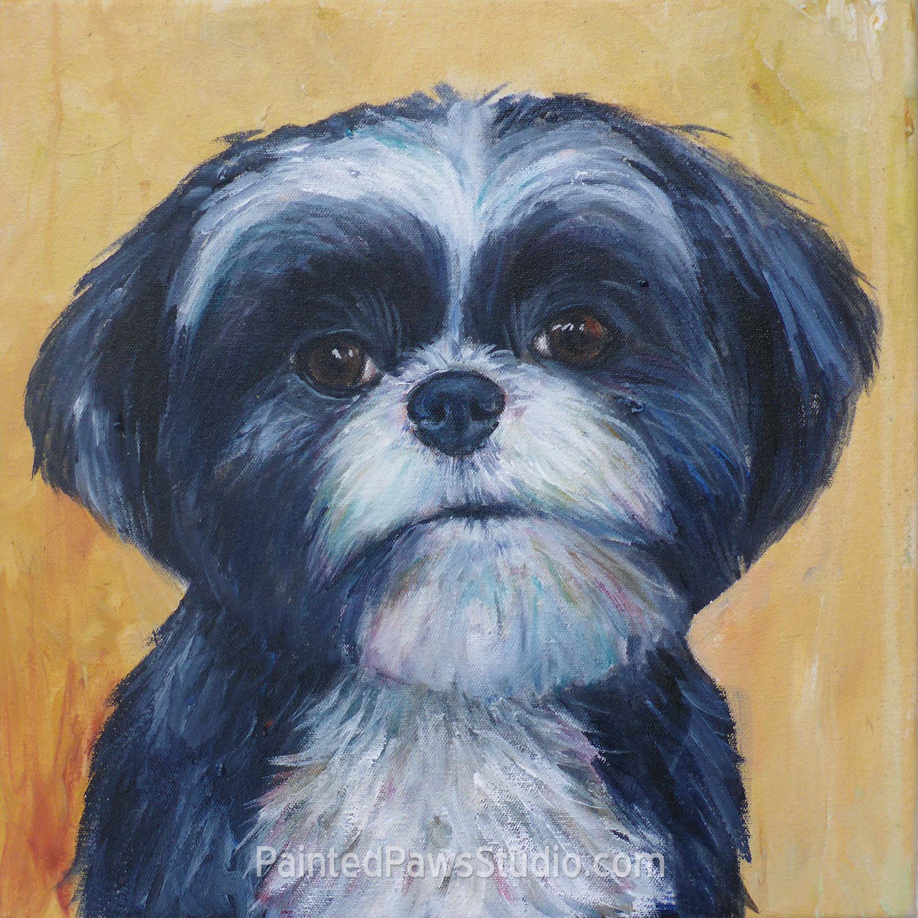 Buddy | 12" x 12"