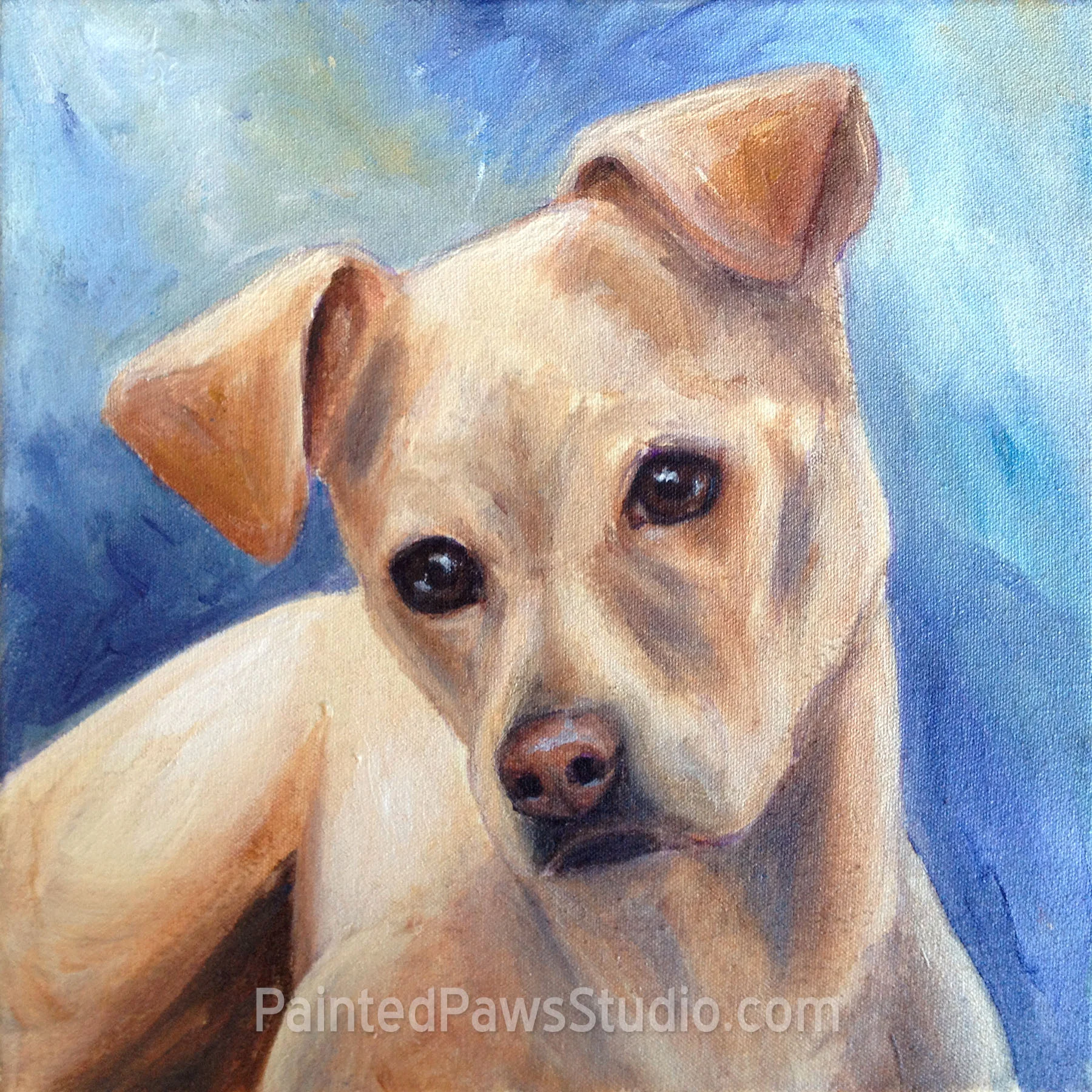 Bunny | 12" x 12"