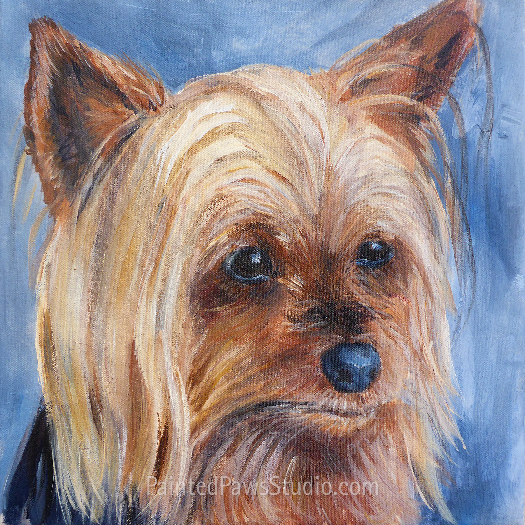 Baxter | 12" x 12"