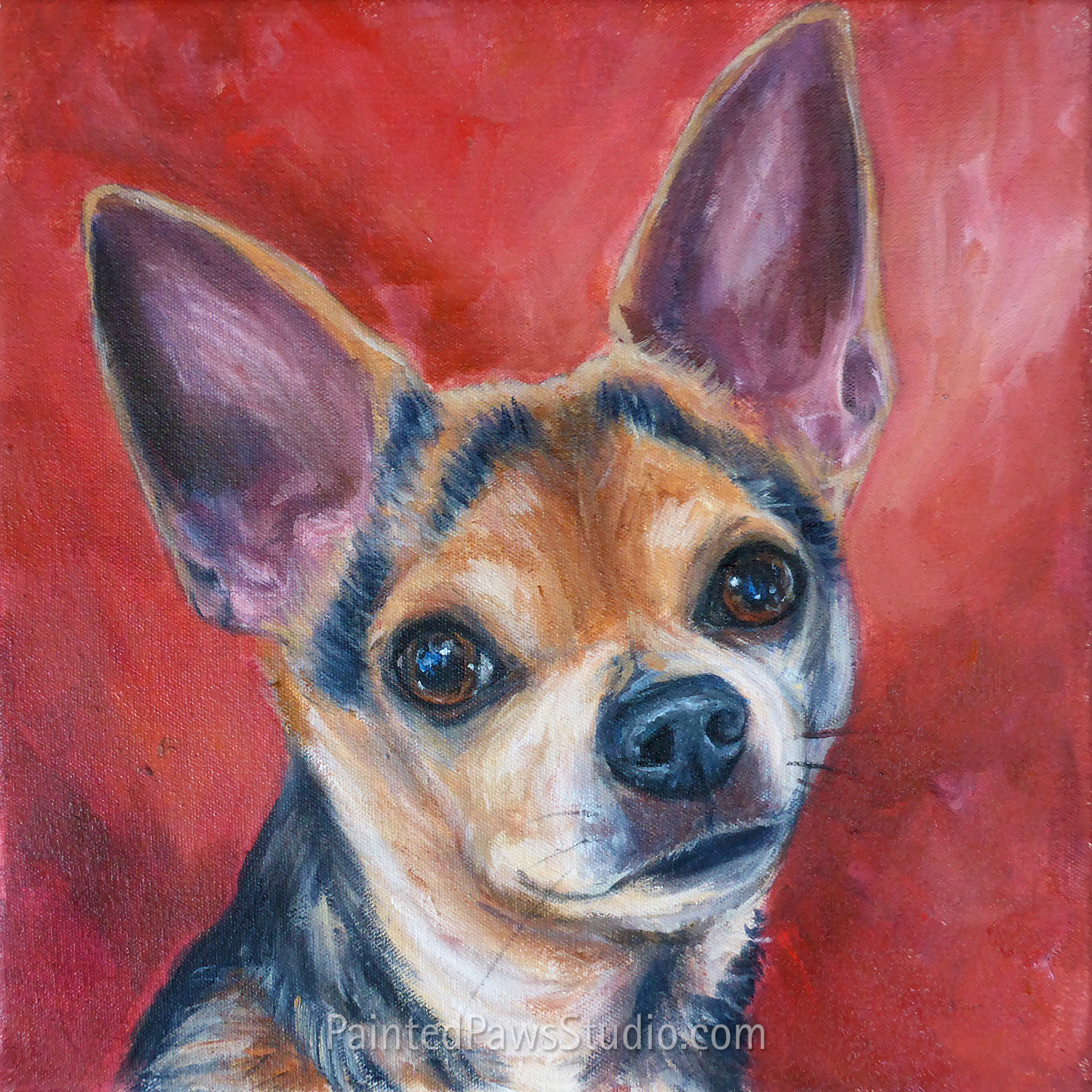 Komando | 12" x 12" | standard background