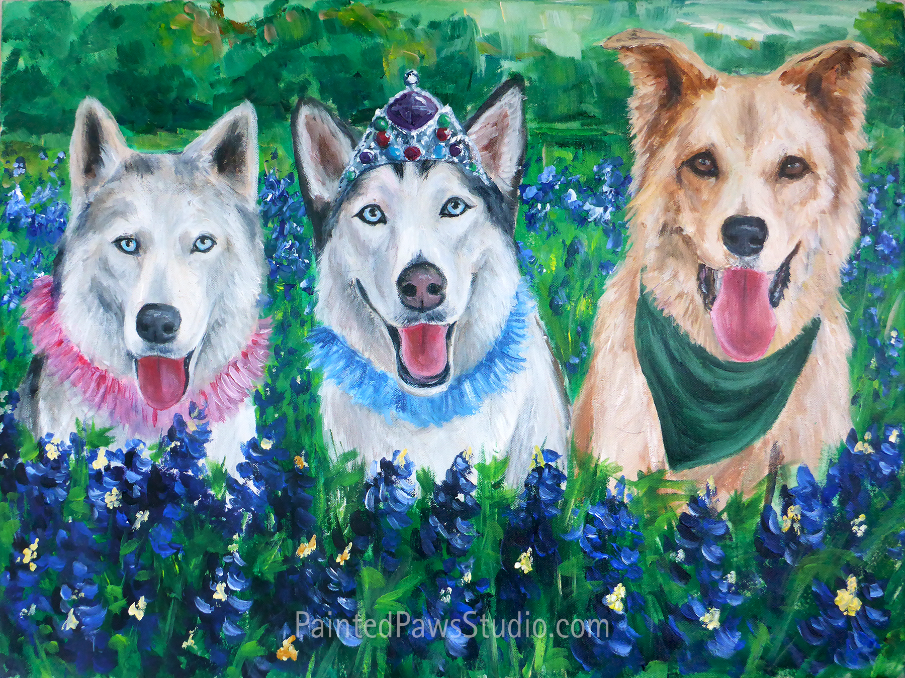 The TXSDR Huskies | 18" x 24"