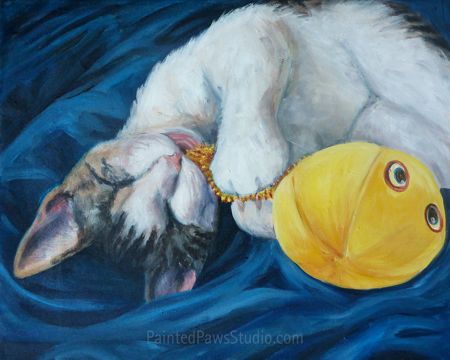 Monet the Blind Kitty | 16" x 20"