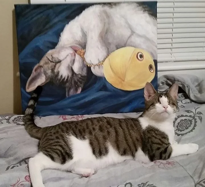 Monet the Blind Kitty