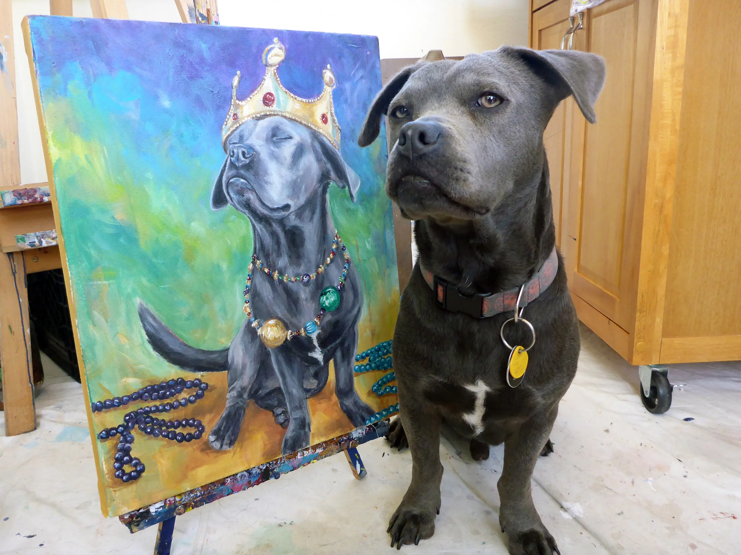 Bauer the Mardi Gras King