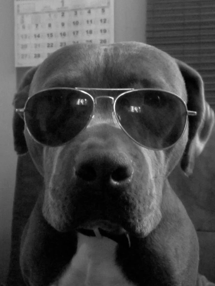 Gunther aka G-Money the Famous Blues Singer