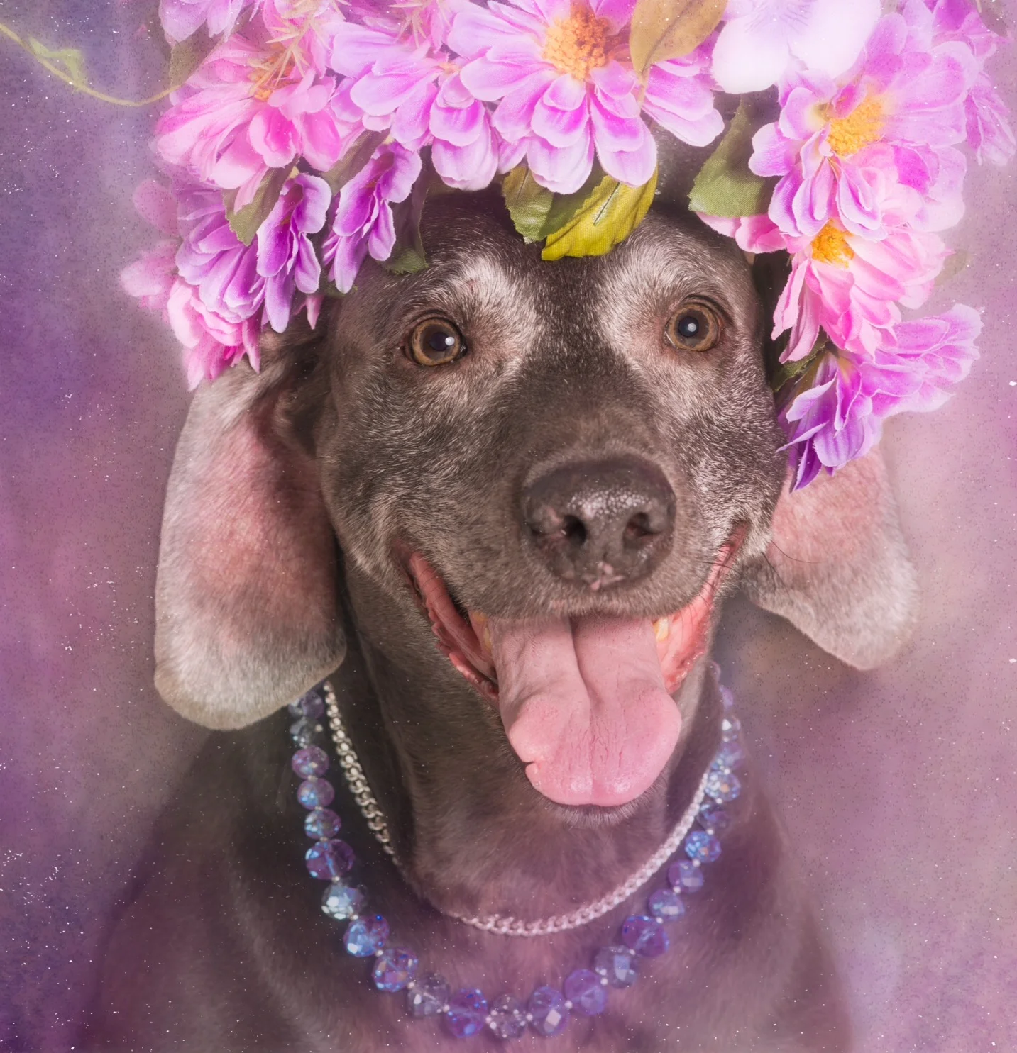 HONORARY WINNER - Tempest as Mother Nature