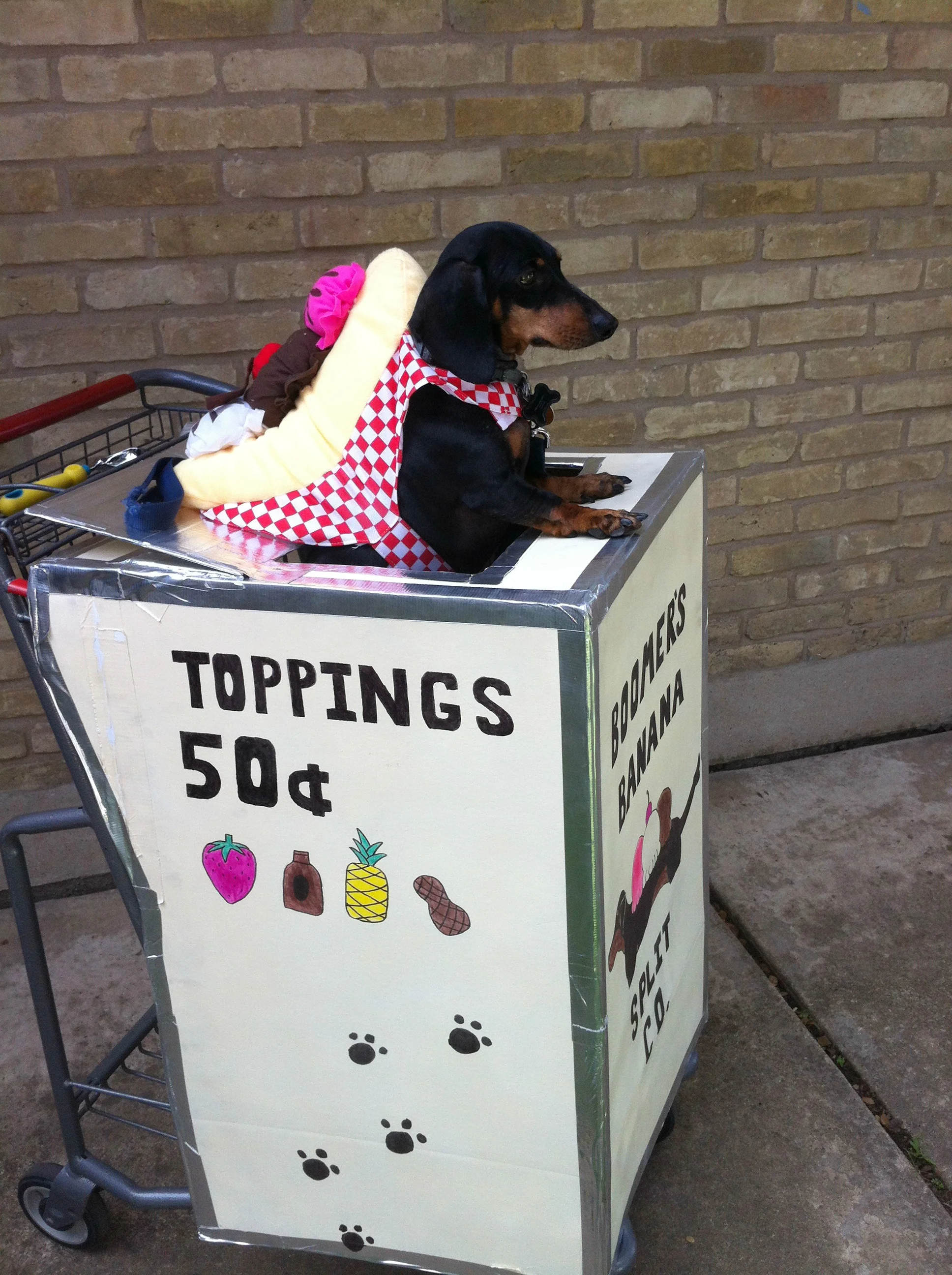 Boomer the Banana Split