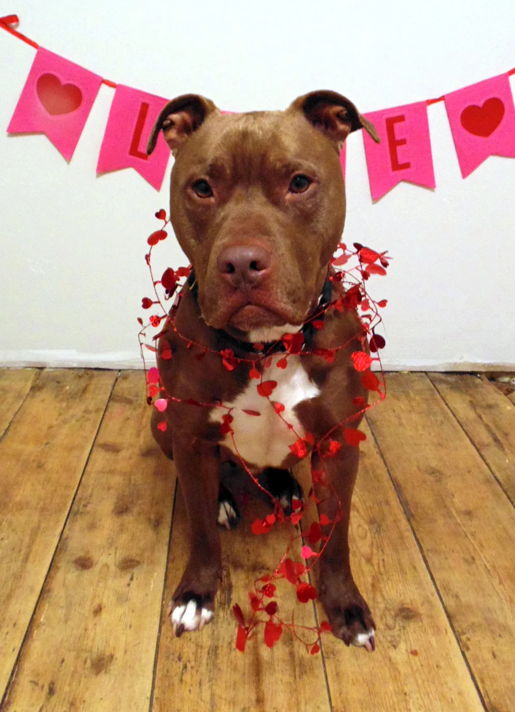 Fred Be My Valentine