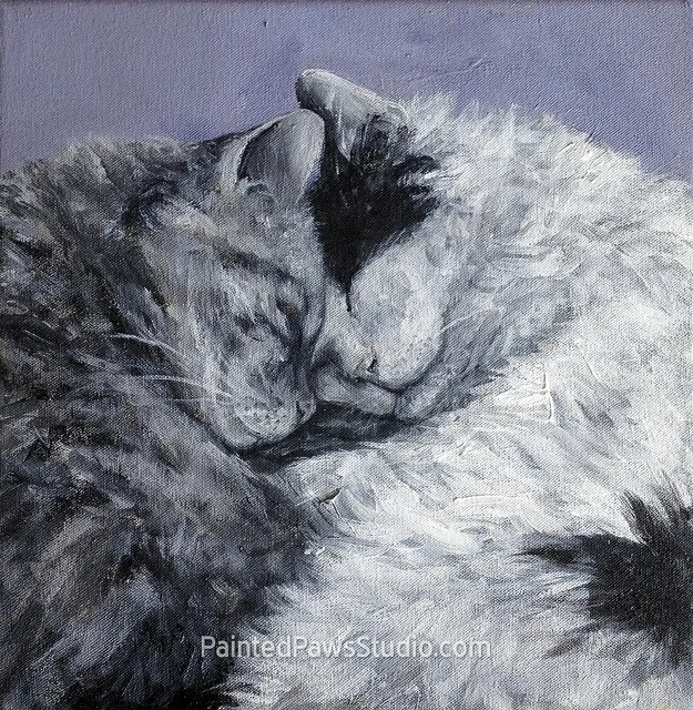Pepper & Calloway | 20" x 20"