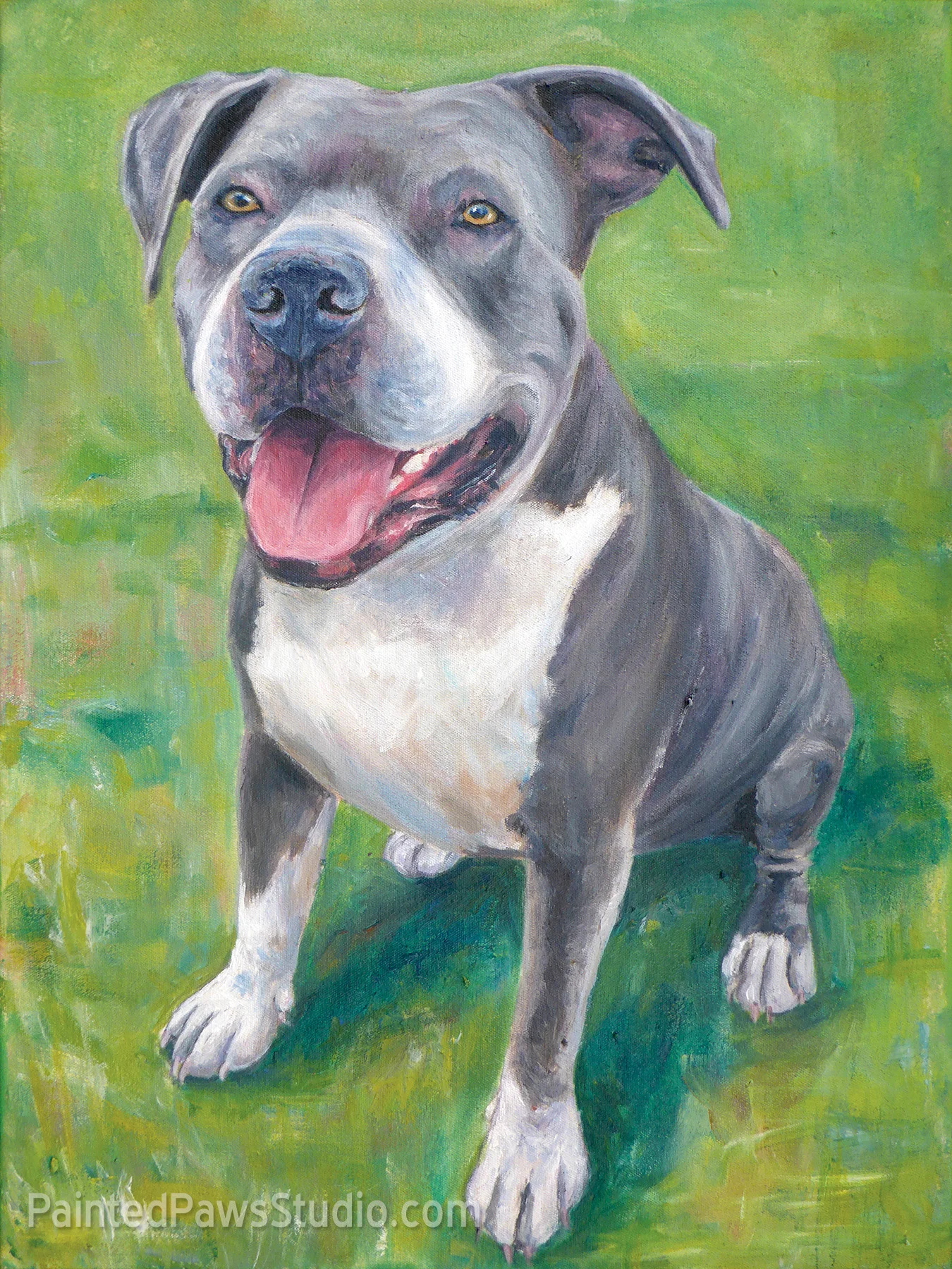 Wilbur | 16" x 20"