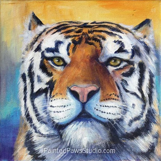 Mike the Tiger | 12" x 12"