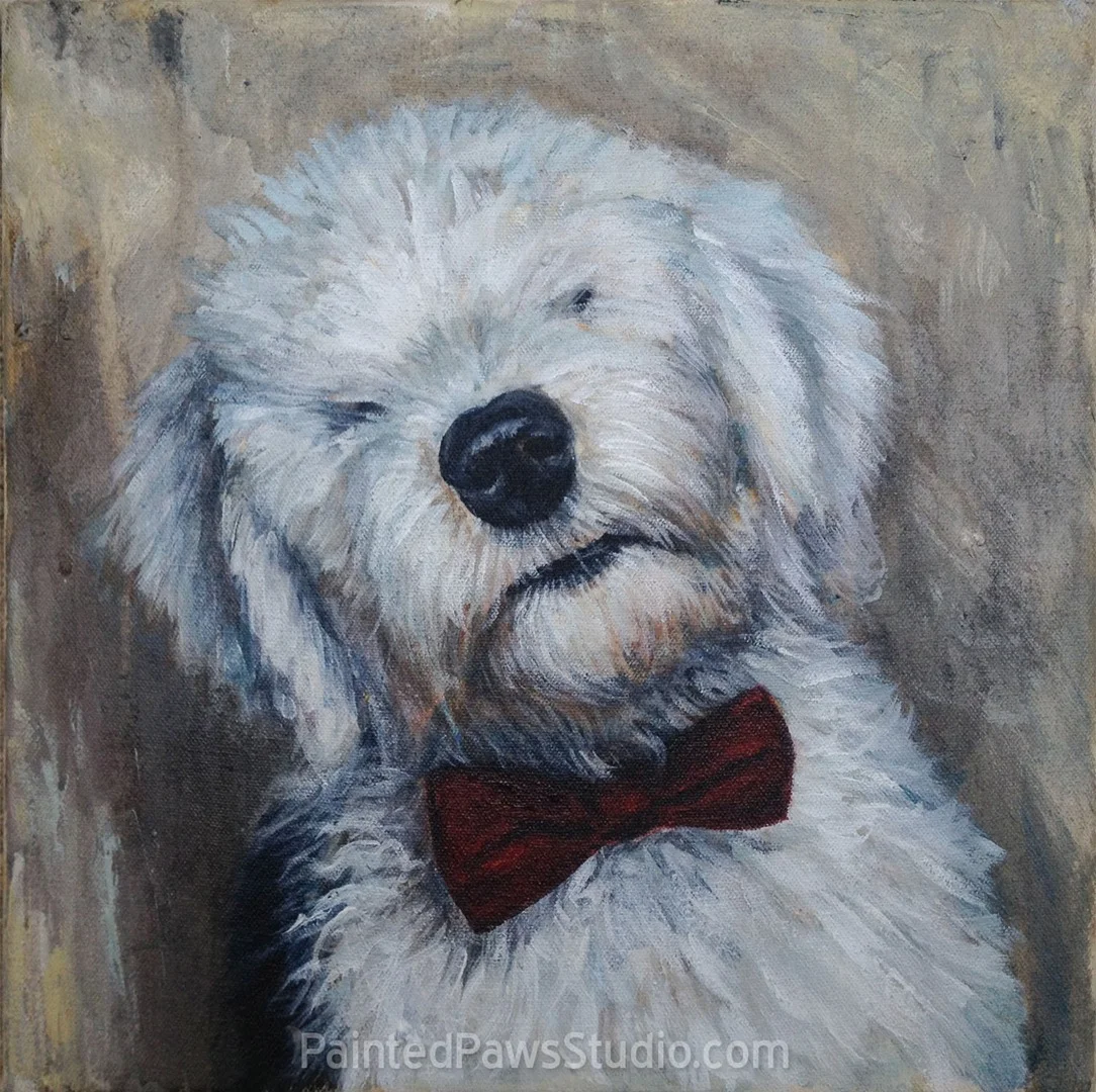 Stormin Norman | 12" x 12"