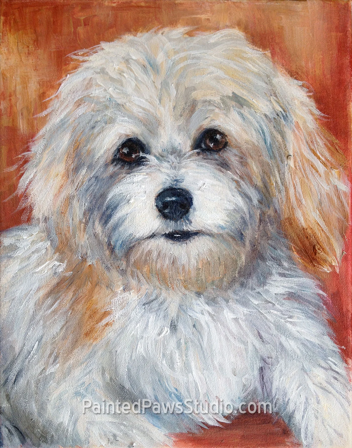 Sophie | 11" x 14"