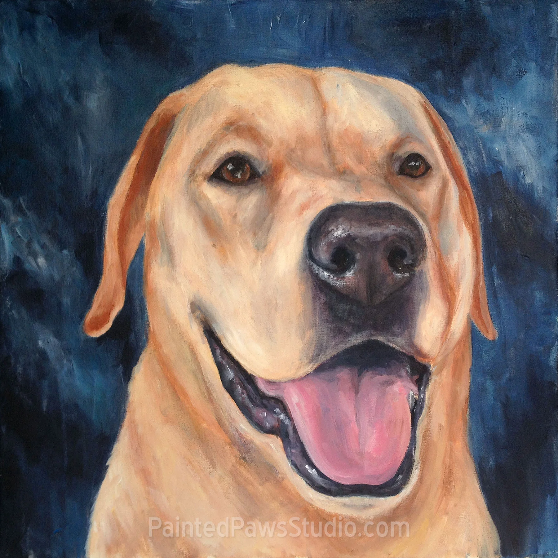Sassie | 24" x 24"