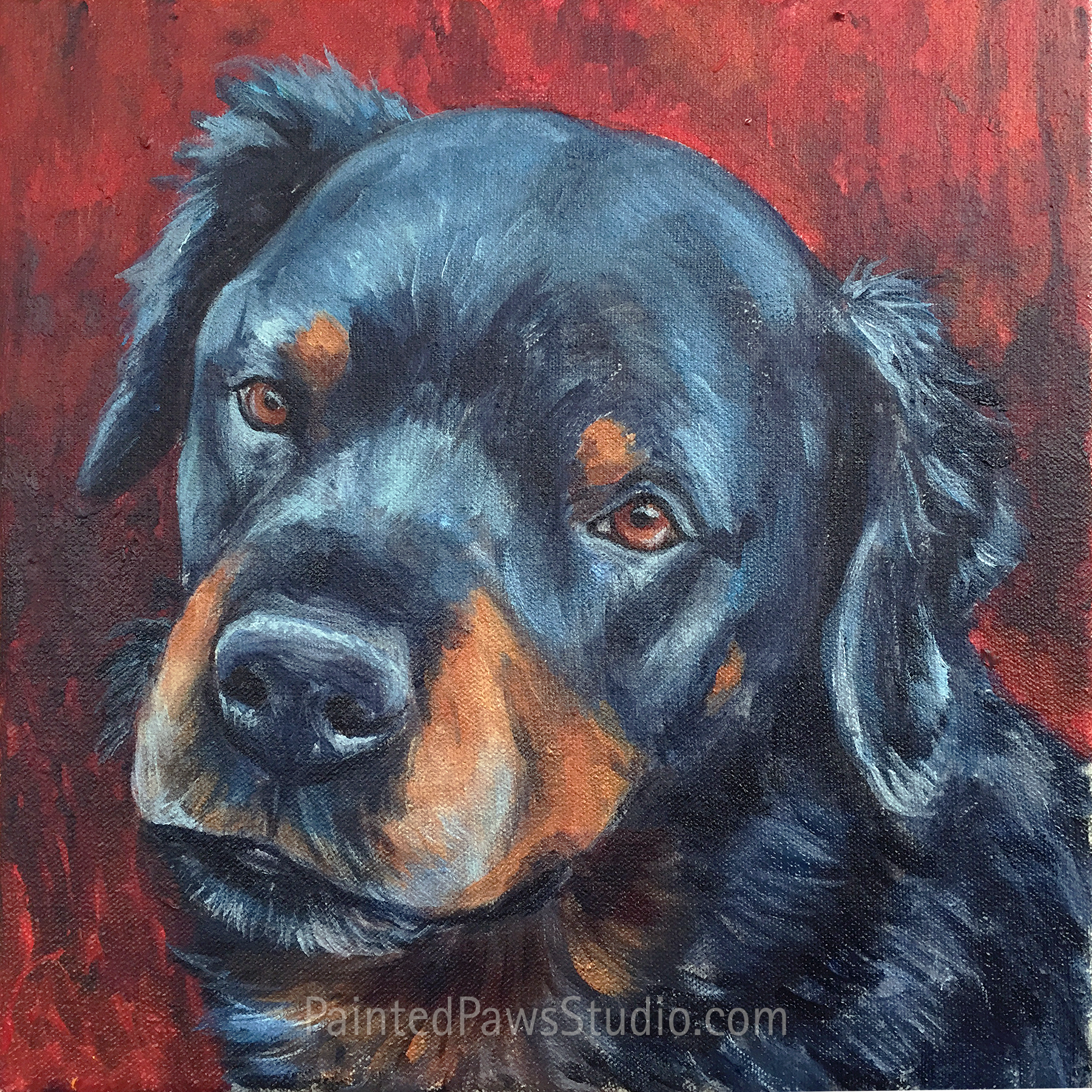 Roc | 12" x 12" | standard background