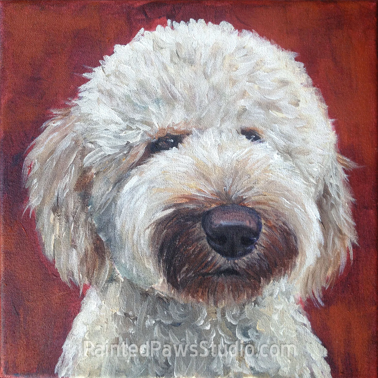 Pippa | 12" x 12"