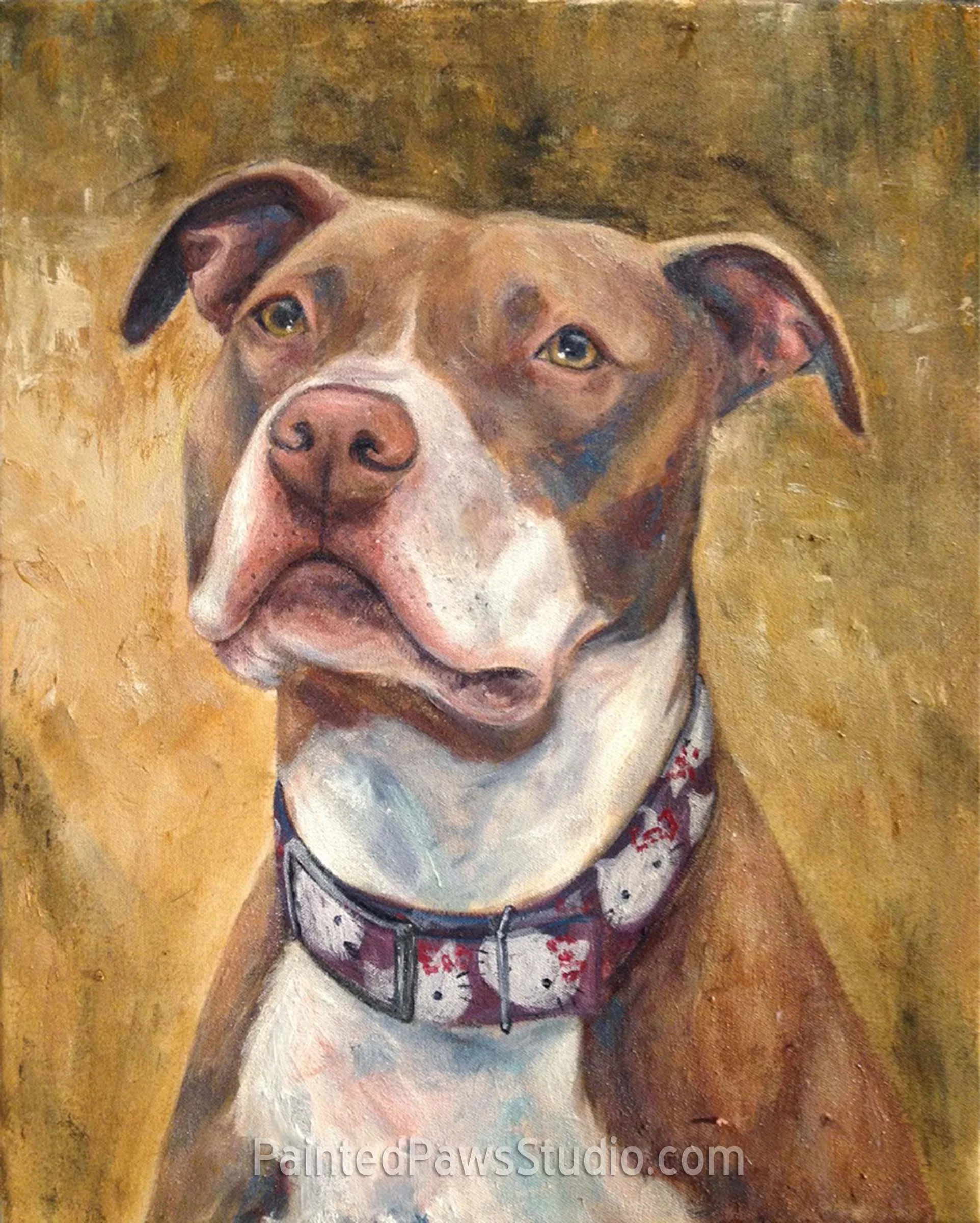 Piper in Her Hello Kitty Collar | 16" x 20"