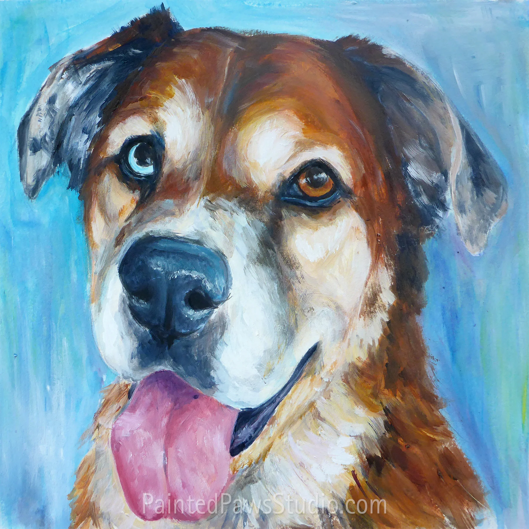 Bernaise aka Bernie | 10" x 10"