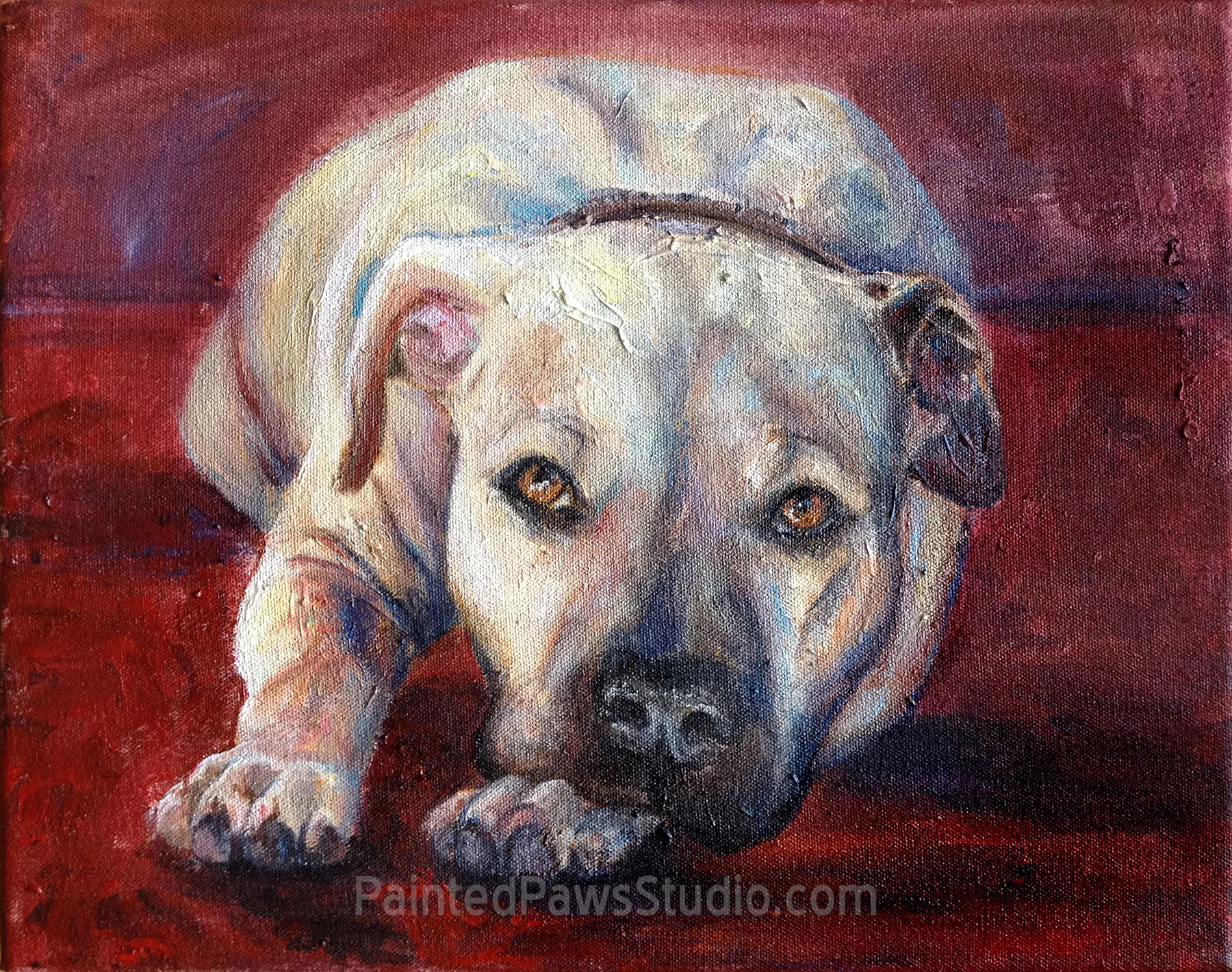 Max | 11" x 14"