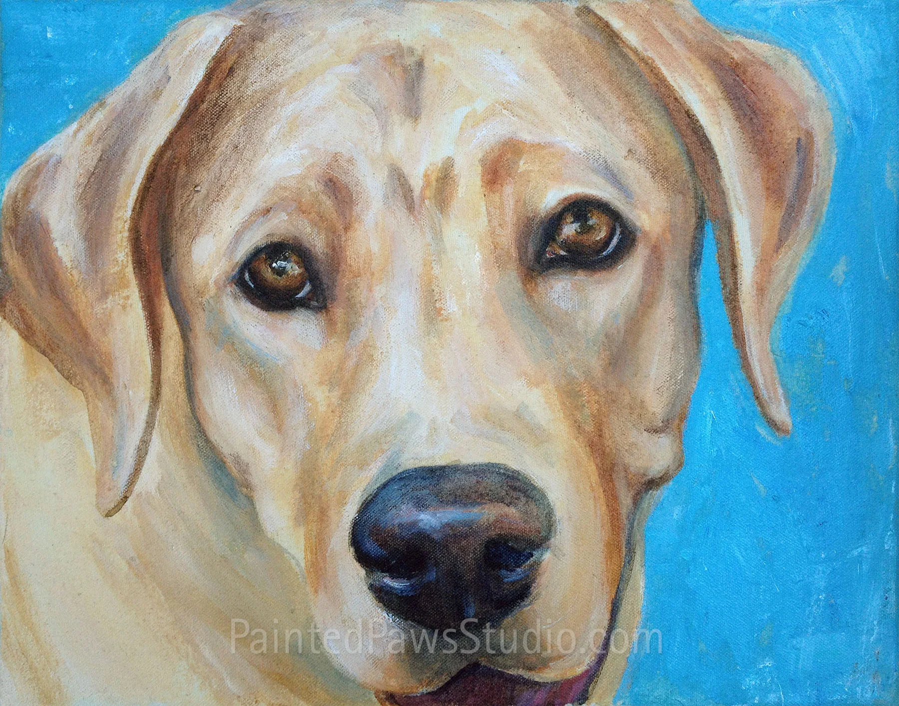 Sunshine Lab | 11" x 14"