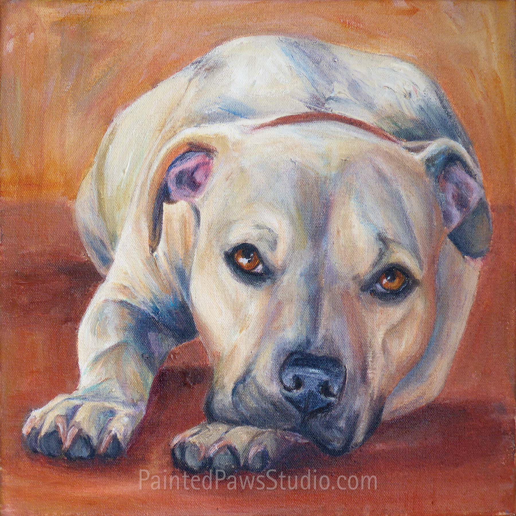 Max | 12" x 12"