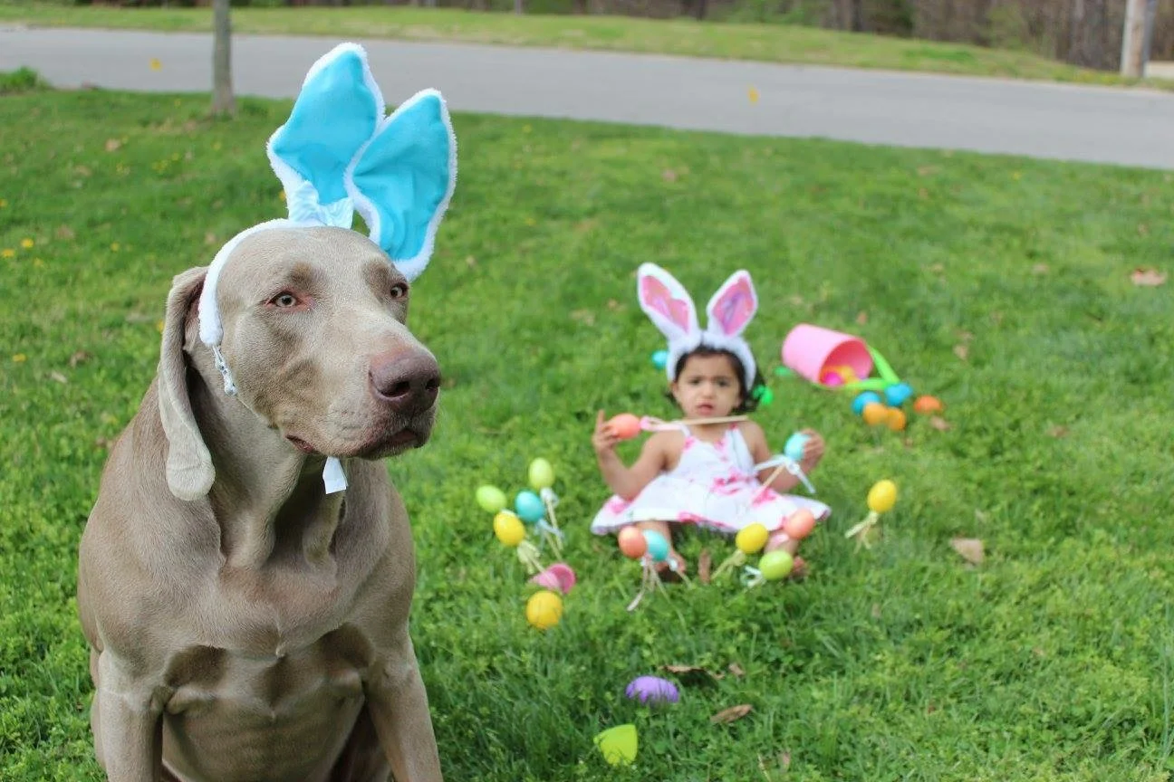 Sky & Baby T's Easter Blooper