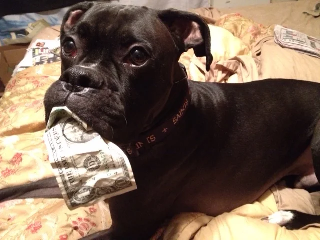 Bear the Banker