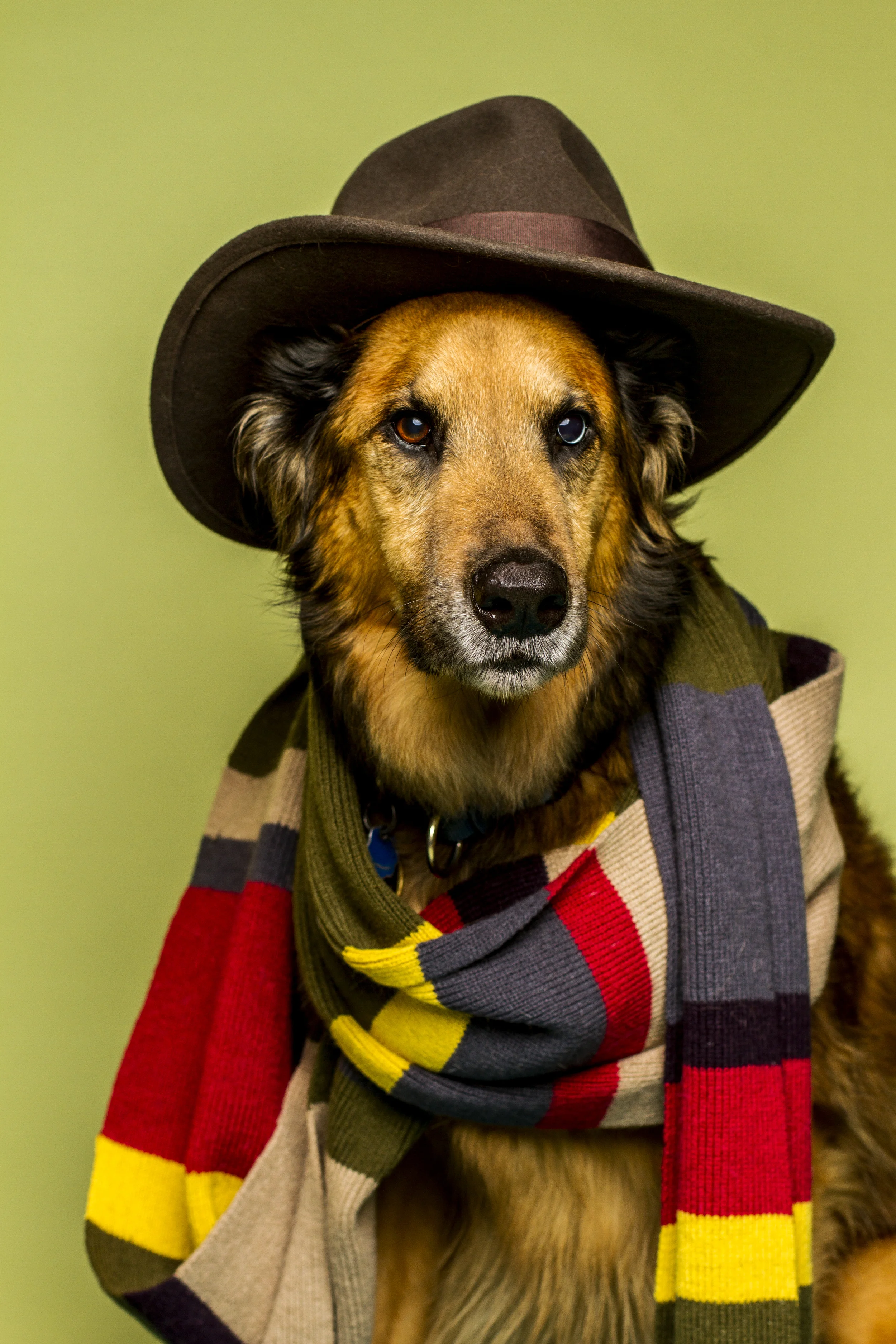 WINNER - Prince as the 4th Doctor of Dr. Who