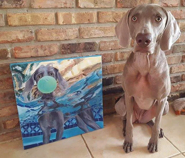 Remi the "Water Weim"